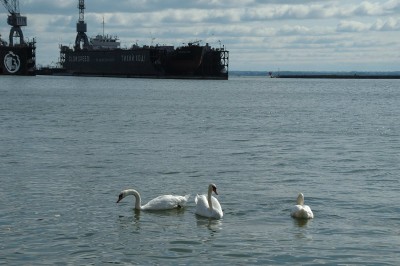 DSC_0023.jpg
